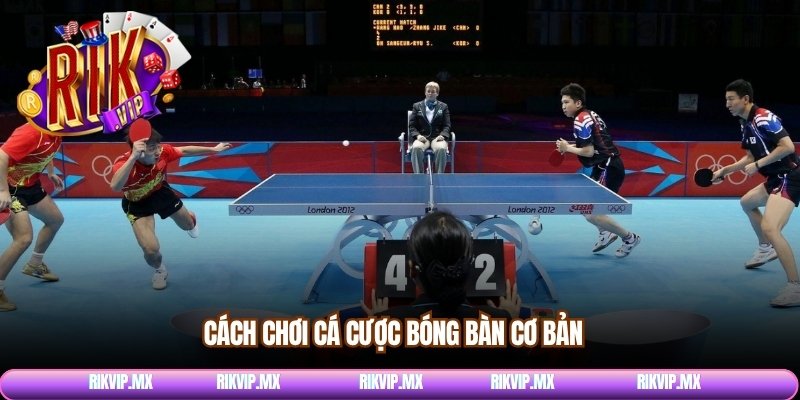 Cách chơi cá cược bóng bàn cơ bản 