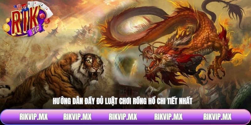 Hướng dẫn đầy đủ luật chơi rồng hổ chi tiết nhất